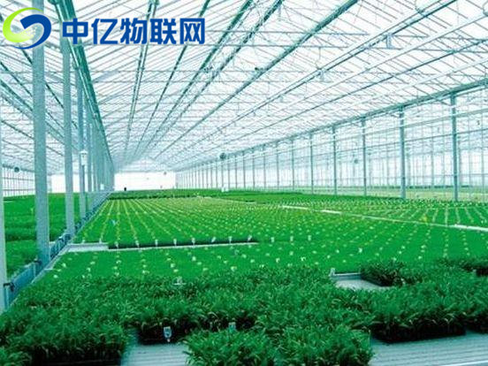 溫濕度傳感器用于智能農(nóng)業(yè)的監(jiān)測(cè)中 溫濕度傳感器用于智能農(nóng)業(yè)的監(jiān)測(cè)中