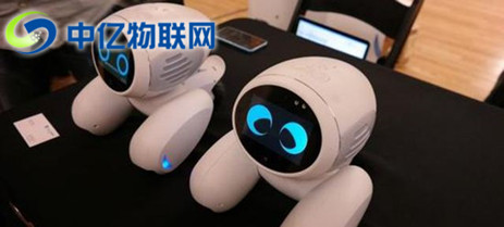  寵物機器人聯(lián)通物聯(lián)卡是如何實現(xiàn)智能化管理的？為什么能受到市場青睞？
